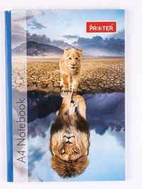 Proter Notebook A-4 Size Copy 240 Page 