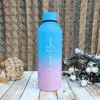 Stainless Steel vacuumed dual shade bottle