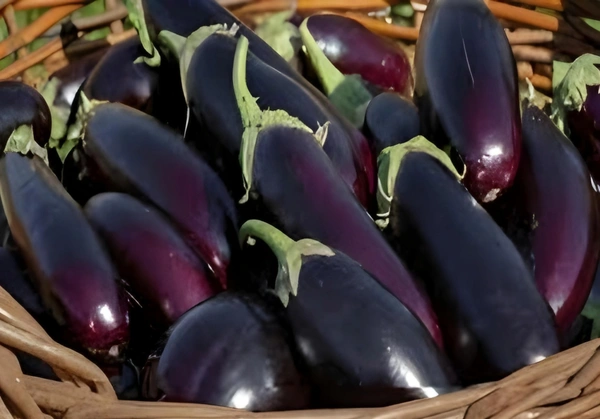 Brinjal (baigan) - 250  gram