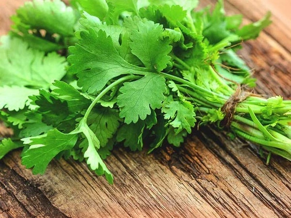 Coriander (Dhaniya) - 250 gram
