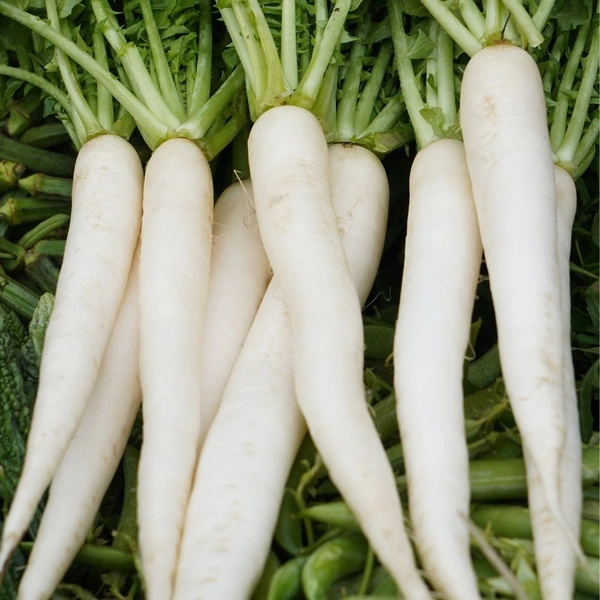 Radish (muli) - 1 Kg