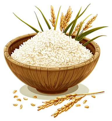 Rice