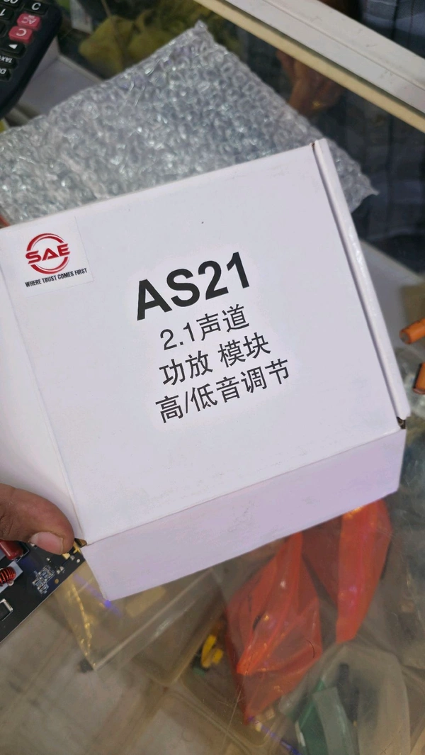 TB21 2.1 CLASS D AMPLIFIER 