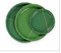 buffet plates M
