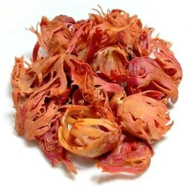 japathri