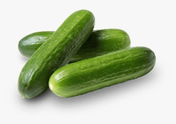 Cucumber Organically (Hybrid Kheera) 500g