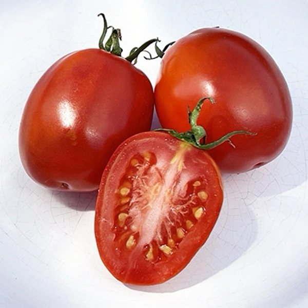 Tomato(Hybrid) 500g