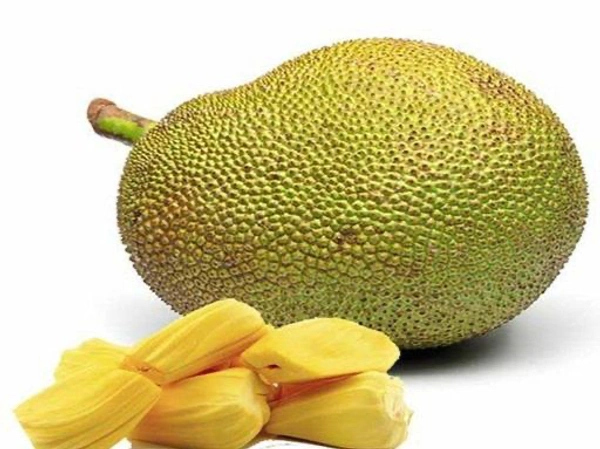 Jackfruit Kathal Cut 250 Gm