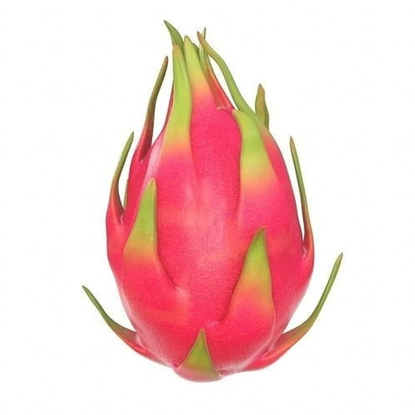 Dragon Fruit 1 Pc