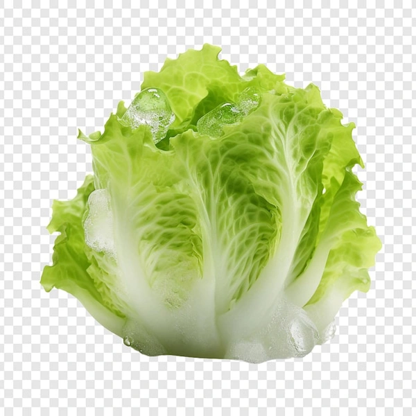 Lettuce Iceburg 250Gm