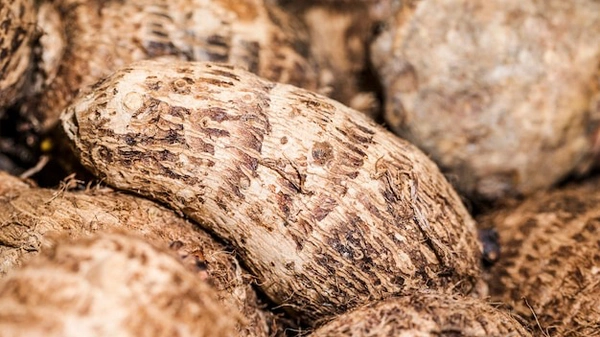 Arvi Colocasia 500 Gm