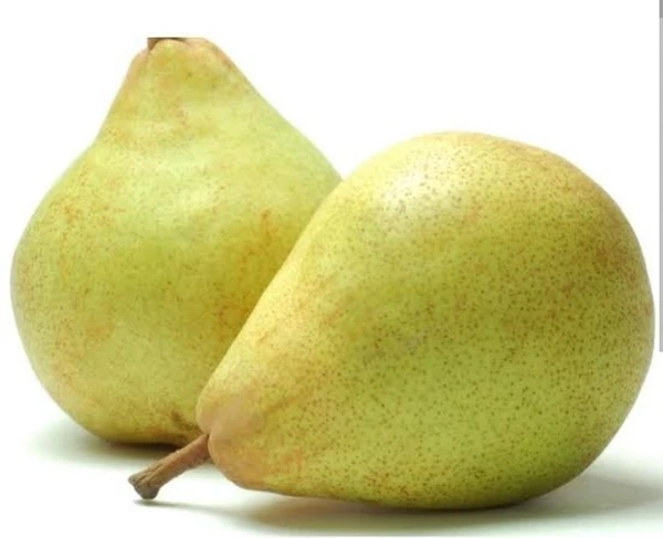Nashpati -Pear Indian 1 Kg