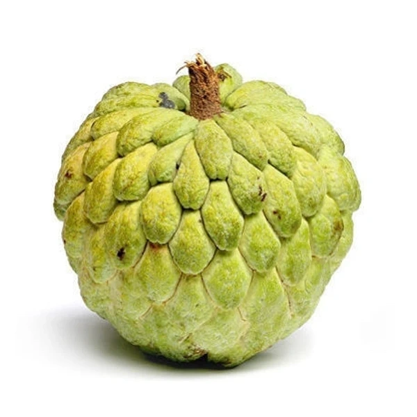 Custard Apple -1 Pc 