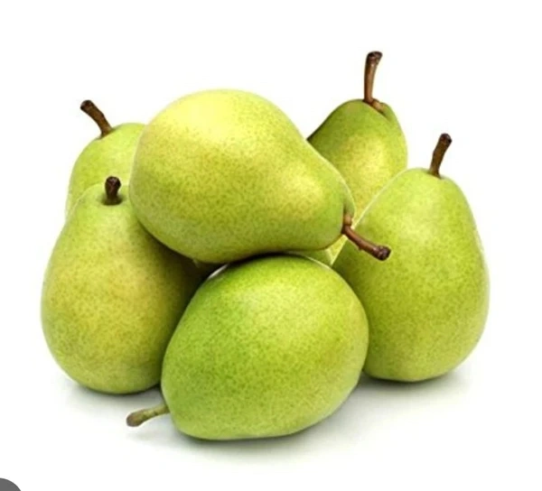 Babugosha-Soft-400gm-600gm