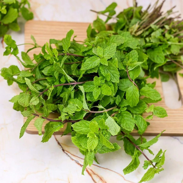 Fresh Mint Leaves(pudina) 1 Brunch 
