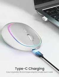 PORTRONICS TOAD IV WIRLESS MOUSE - White