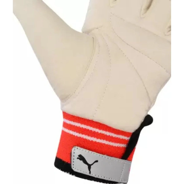 KD PUMA Future 20.1 Wicket Keeping Inner Gloves, RH Multicolors
