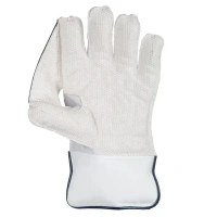 KD SG RSD Xtreme Wicket Keeping Gloves (Colour May Very)