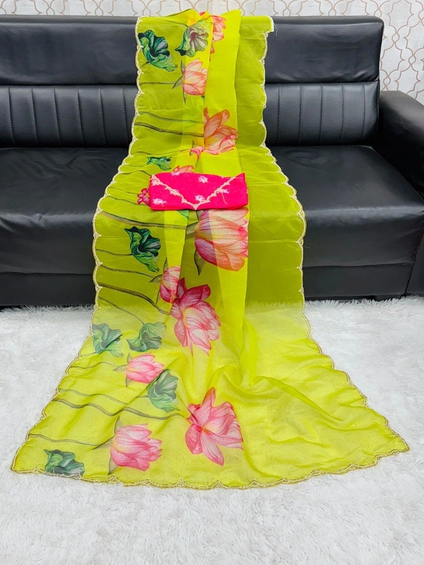 Soft Organza  SAREE