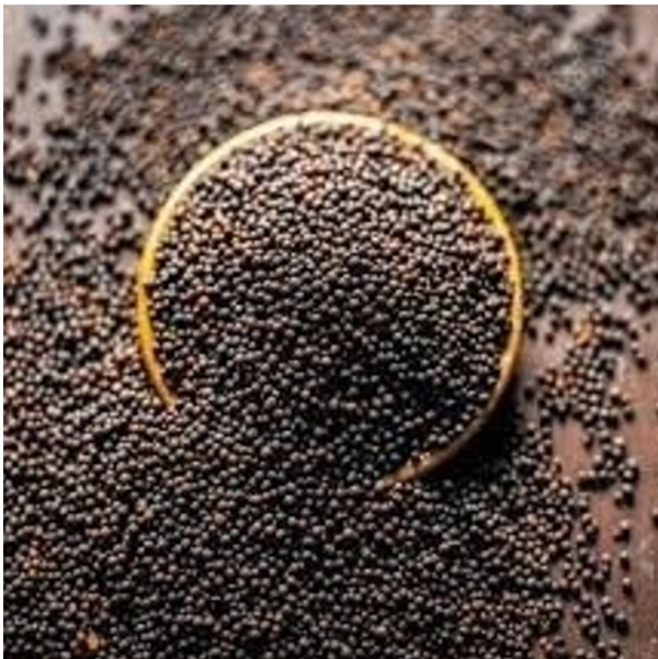 Rai Seeds Loose , 250 gm - 