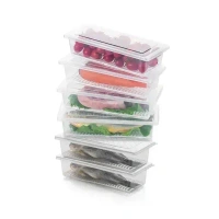 Freezer Storage Containers for Vegetables & Fruits, Pack of 6, 1500ml