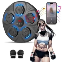 Electronic Music Boxing Machine, Boxing Training Punching Equipment, Wall Mounted Boxing Machine, Smart Boxing Target for Home Workout with Bluetooth 6 Lights for Adults/Home