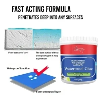 ZHUQUA (Pack Of 1) Waterproof Adhesive Glue, 300gm, with Brush, Transparent, for Roof Leakage, Crack Seal, Water Leakage Solution, Waterproofing for Pipe, Wall, Tiles/*- Brand: Zhuqua