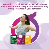  Odonil Gel Pocket Bathroom Freshner (Pack of 3)