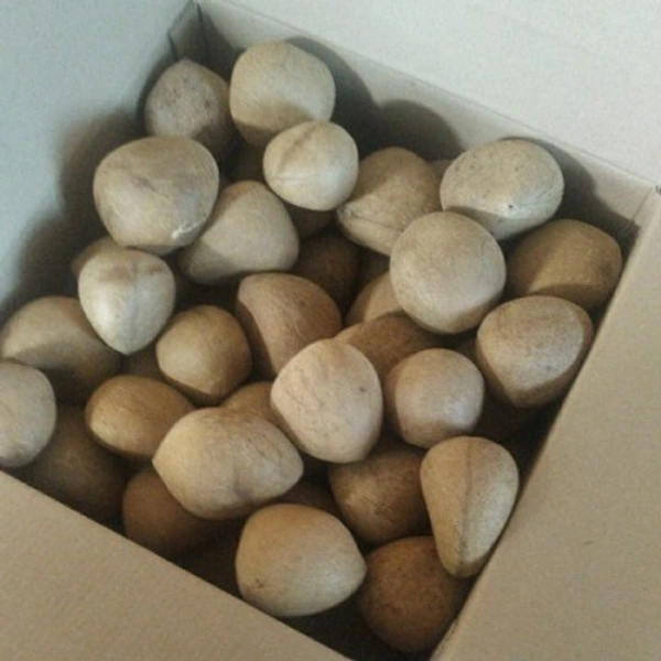 Karnataka's Dry Round Coconut Balls / Khopra 1Kg ( ఎండు కొబ్బరి ) Wholesale - 