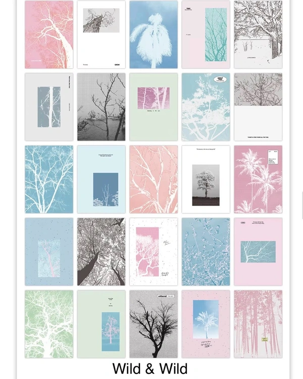 Papermore Deco Paper (50 Sheets) - Wild & Wild