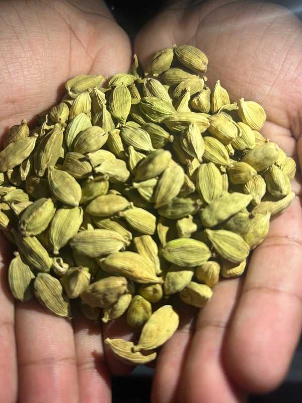 Ilayachi (इलायाची) 10 Gm