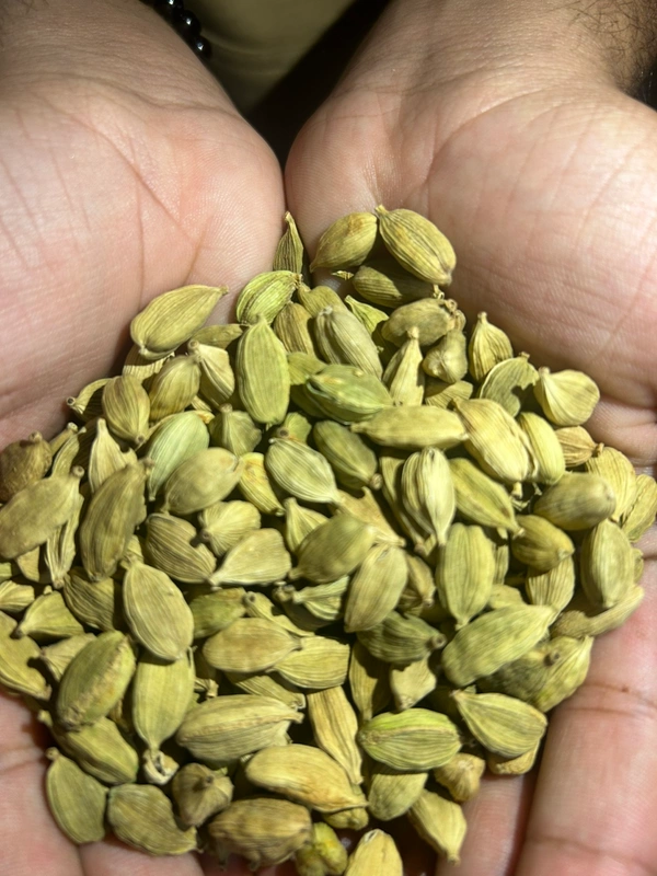 Ilayachi (इलायाची) 10 Gm