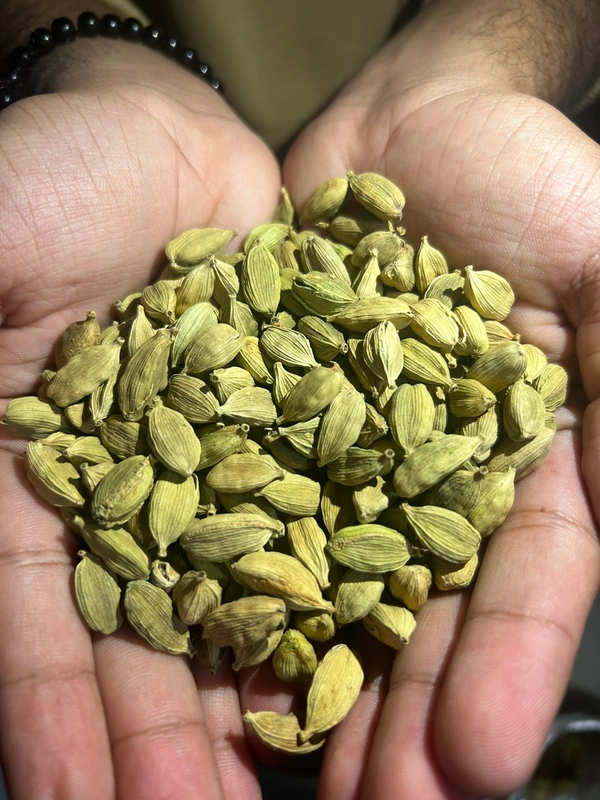 Ilayachi (इलायाची) 10 Gm