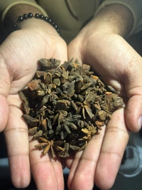 Karna Phool (कर्णफूल) 50 Gm