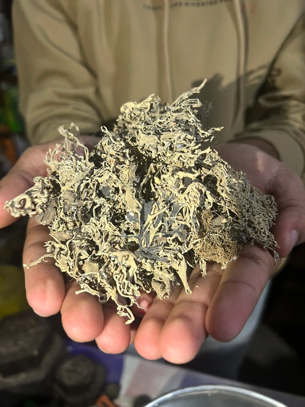 Chabeela (छबीला) 50gm