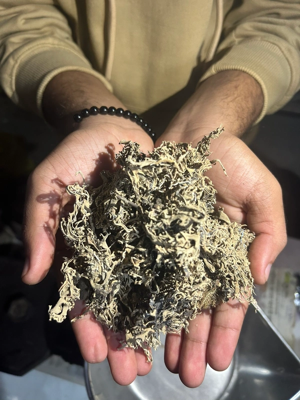 Chabeela (छबीला) 50gm
