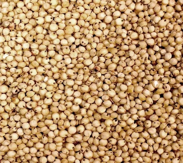 Jar Solapuri - 1 Kg