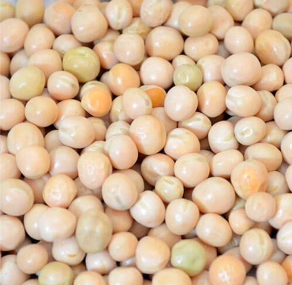 Vatana White - 1 Kg