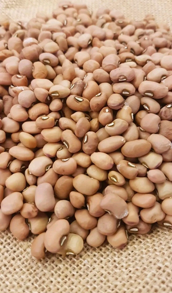 Chodi - 500g