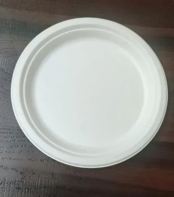  Round Sugarcane Bagasse Plates, Eco-Friendly, Compostable Disposable Tableware 25pcs