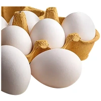 freshto egg 6 pcs - 6 Piece