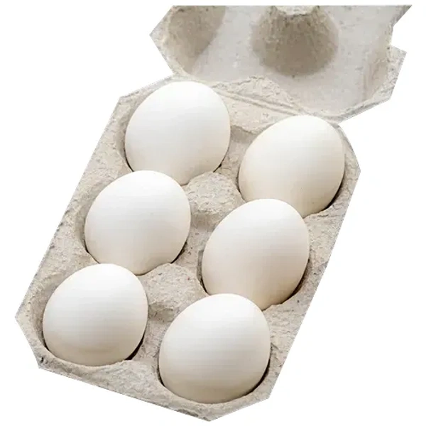 freshto egg 6 pcs - 6 Piece