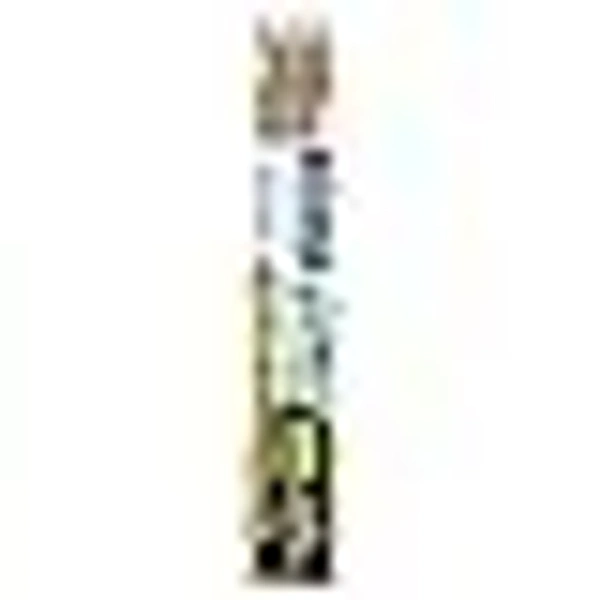 DOMS neon eraser tipped pencil