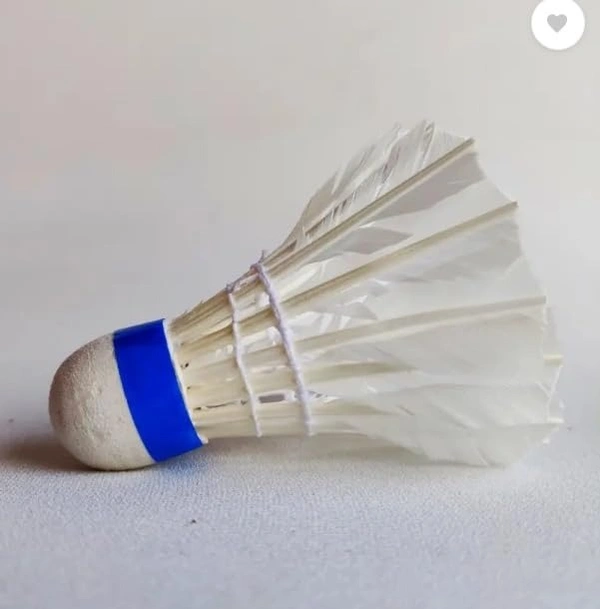 VSH Sports Wanted Feather Badminton Shuttlecocks, White, Pack of 10, Medium Slow (10)