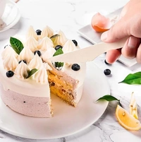 Biodegradable Knife Disposable Cutlery Set | Bamboo & Wooden Eco-Friendly Forks, Spoons, Sporks | Compostable Disposable Utensils Party Pack | 25 Piece Wooden Knife Set