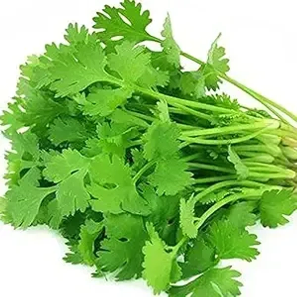 green coriander /Hara Dhaniya - 100g