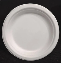 jaiveco White Plain Round Bagasse Plates 25 pcs - 11inches