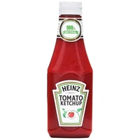 Heinz Tomato Ketchup PET Bottle, 450 g