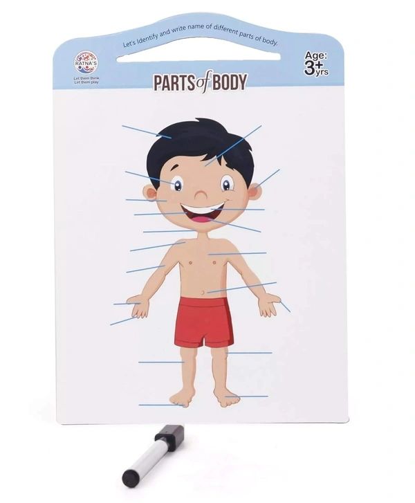 RATNA'S Parts of Body Jigsaw Puzzle for Kids with 2 in 1 Write and Wipe Board with Body Parts - ‎27 x 14.9 x 4.5 cm, Multi-color