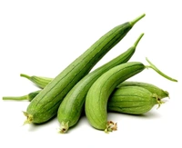 Sponge Gourd (Taroii) 